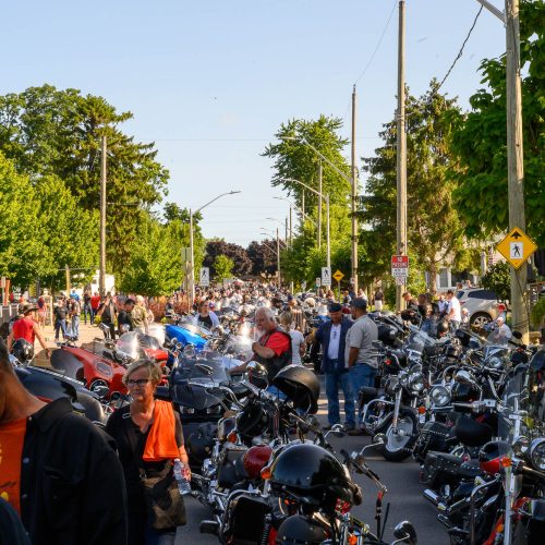 Bikes on Forest